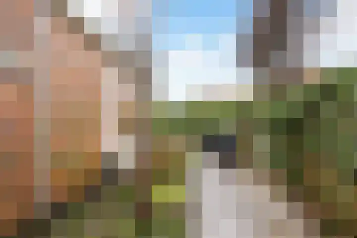 Pelmolen 4 Niezijl thumbnail 29