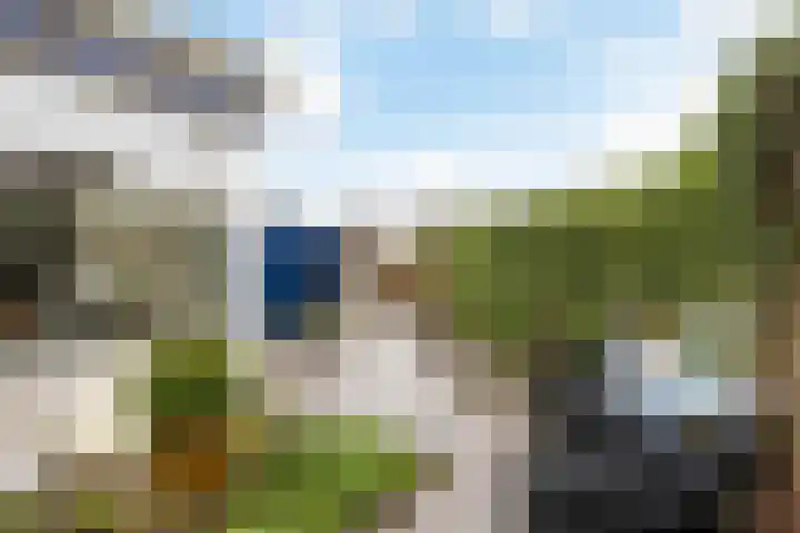 Pelmolen 4 Niezijl thumbnail 30
