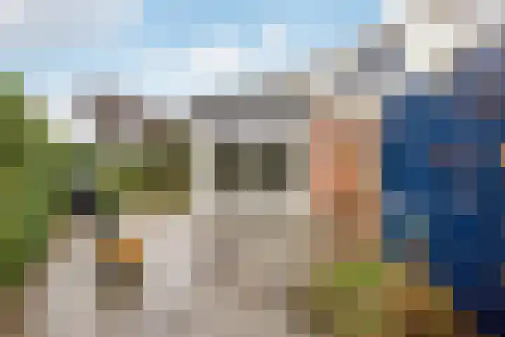 Pelmolen 4 Niezijl thumbnail 6