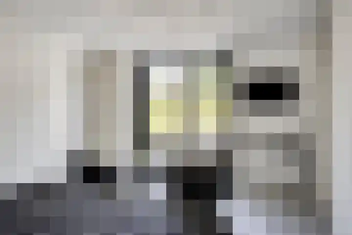 Pelmolen 6 de Lutte thumbnail 26