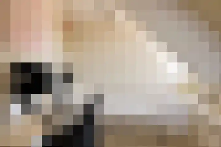 Pelmolen 6 de Lutte thumbnail 37
