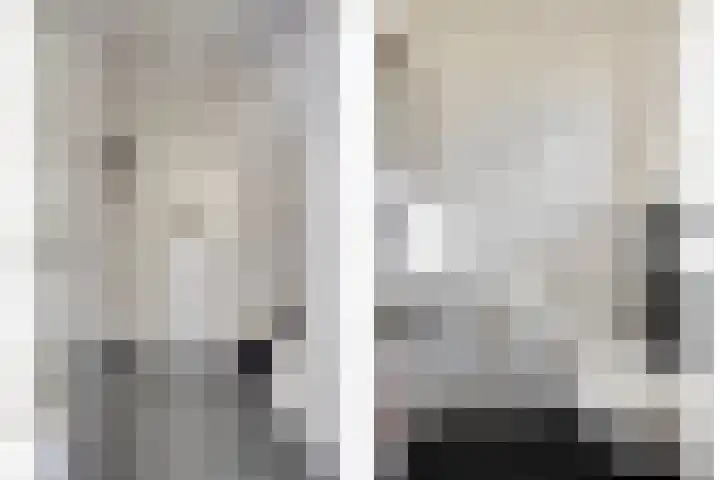 Pelmolen 6 de Lutte thumbnail 4
