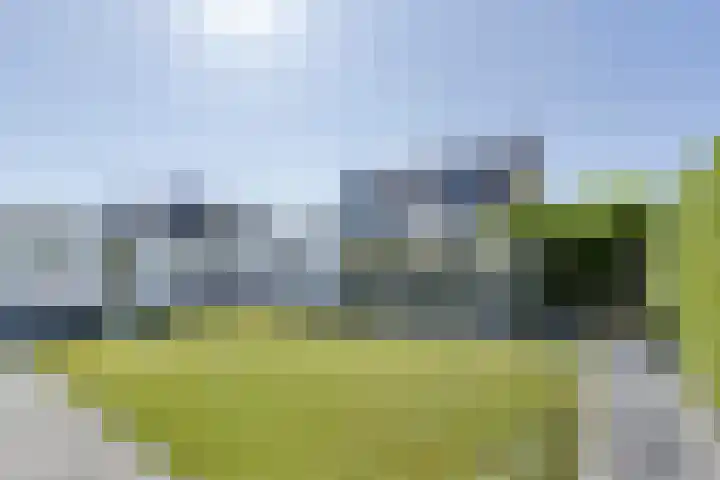 Pelmolen 6 de Lutte thumbnail 43