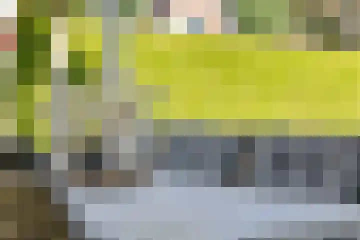 Pelmolen 6 de Lutte thumbnail 45