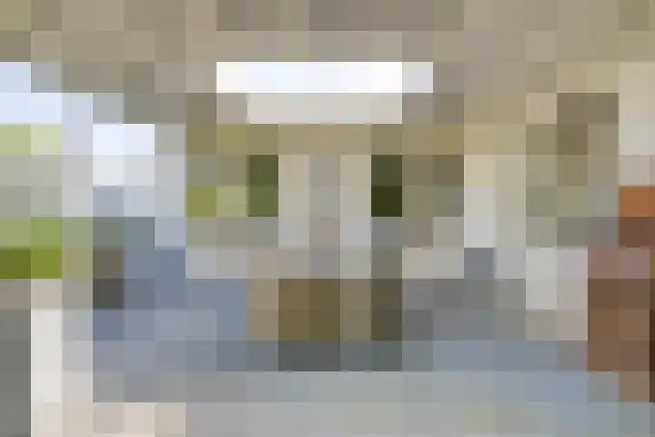 Pelmolen 6 de Lutte thumbnail 46