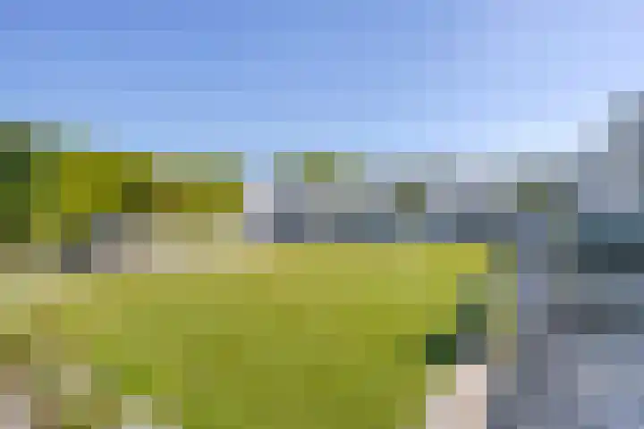 Pelmolen 6 de Lutte thumbnail 48