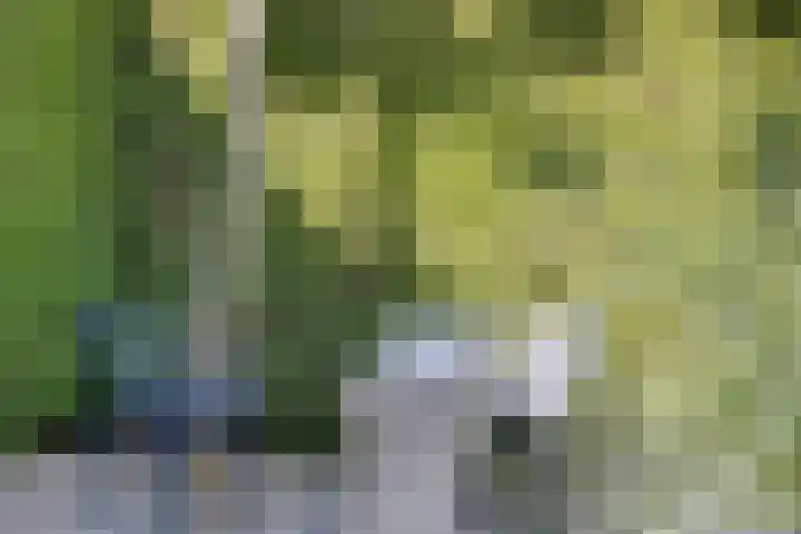 Pelmolen 6 de Lutte thumbnail 49