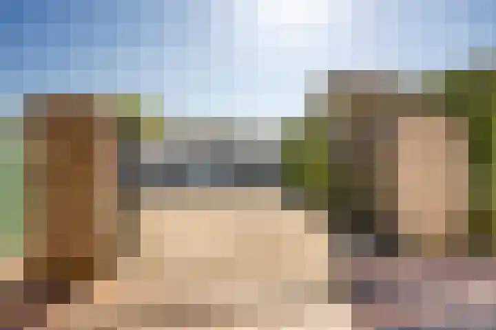 Pelmolen 6 de Lutte thumbnail 50