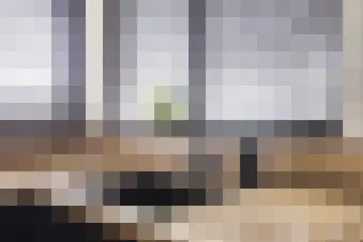 Pelmolen 6 Oploo thumbnail 12