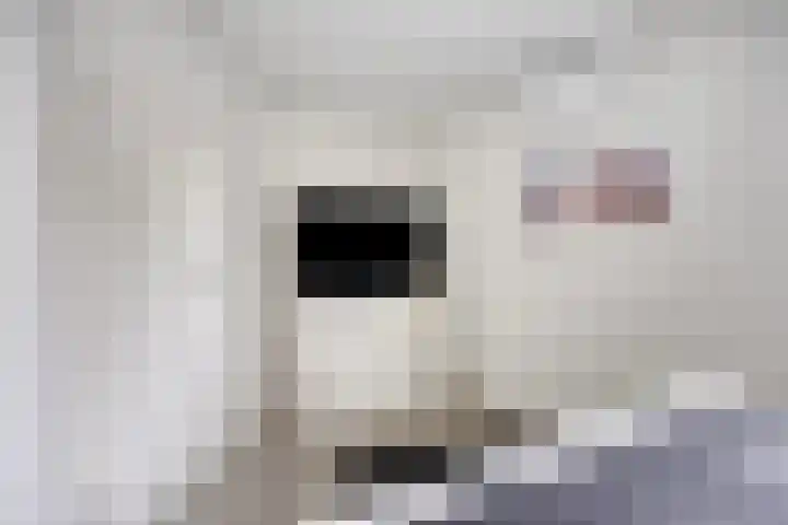 Pelmolen 6 Oploo thumbnail 16