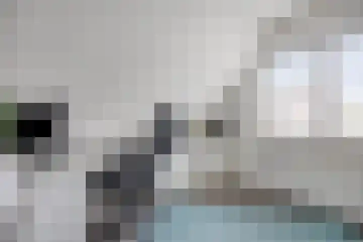 Pelmolen 6 Oploo thumbnail 17