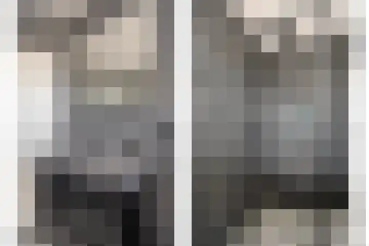 Pelmolen 6 Oploo thumbnail 19