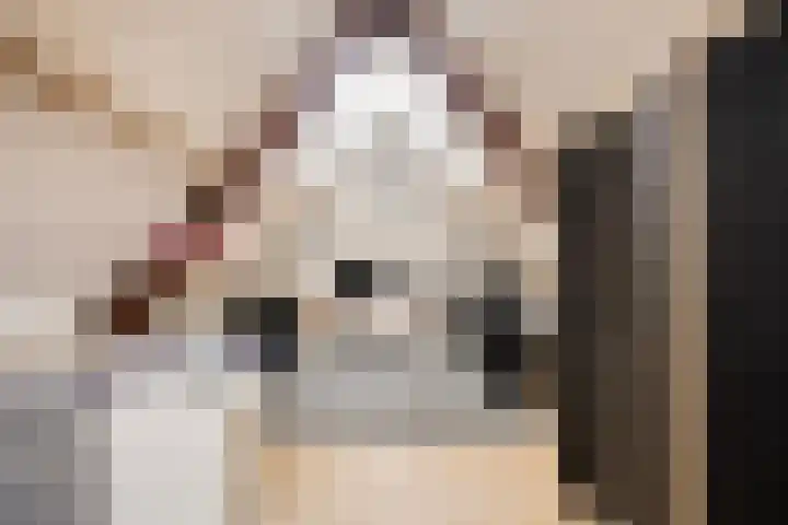 Pelmolen 6 Oploo thumbnail 22