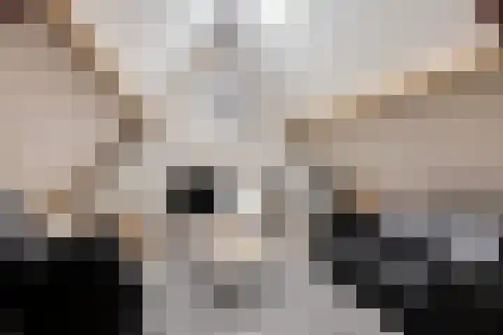 Pelmolen 6 Oploo thumbnail 23