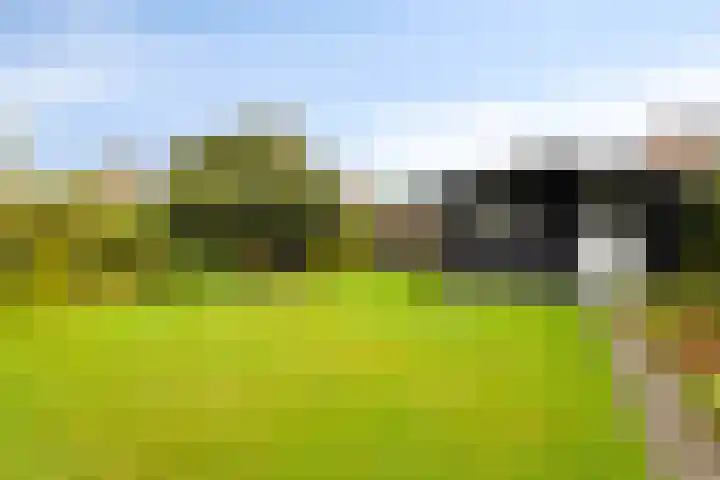 Pelmolen 6 Oploo thumbnail 24