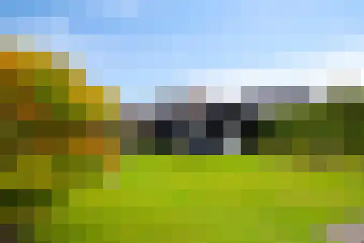 Pelmolen 6 Oploo thumbnail 25