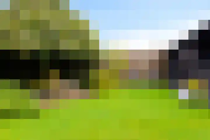 Pelmolen 6 Oploo thumbnail 26