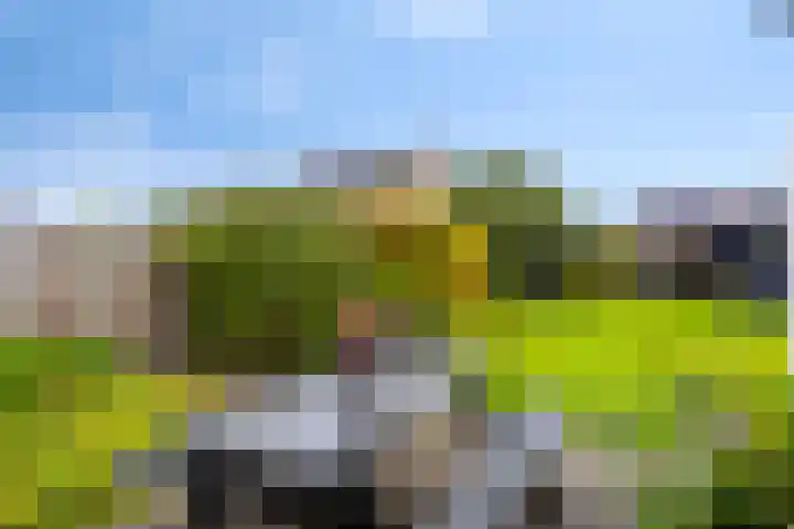 Pelmolen 6 Oploo thumbnail 27