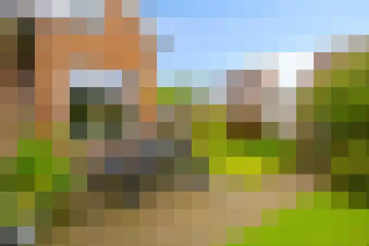 Pelmolen 6 Oploo thumbnail 28