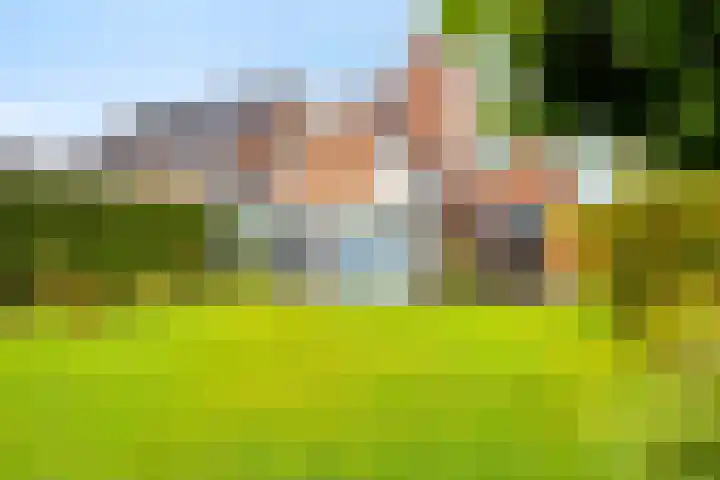 Pelmolen 6 Oploo thumbnail 29