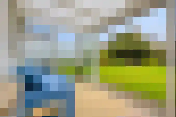 Pelmolen 6 Oploo thumbnail 32