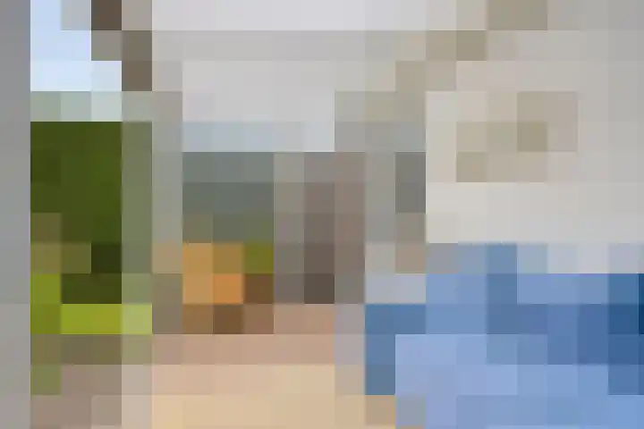 Pelmolen 6 Oploo thumbnail 33