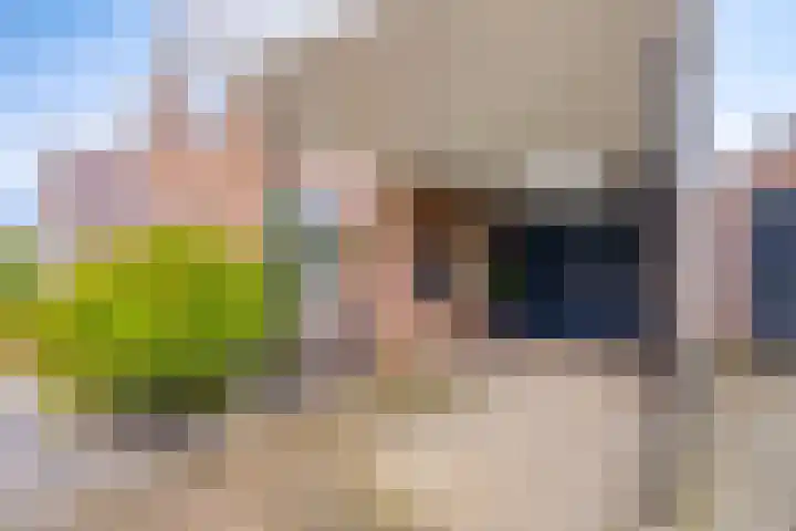 Pelmolen 6 Oploo thumbnail 36