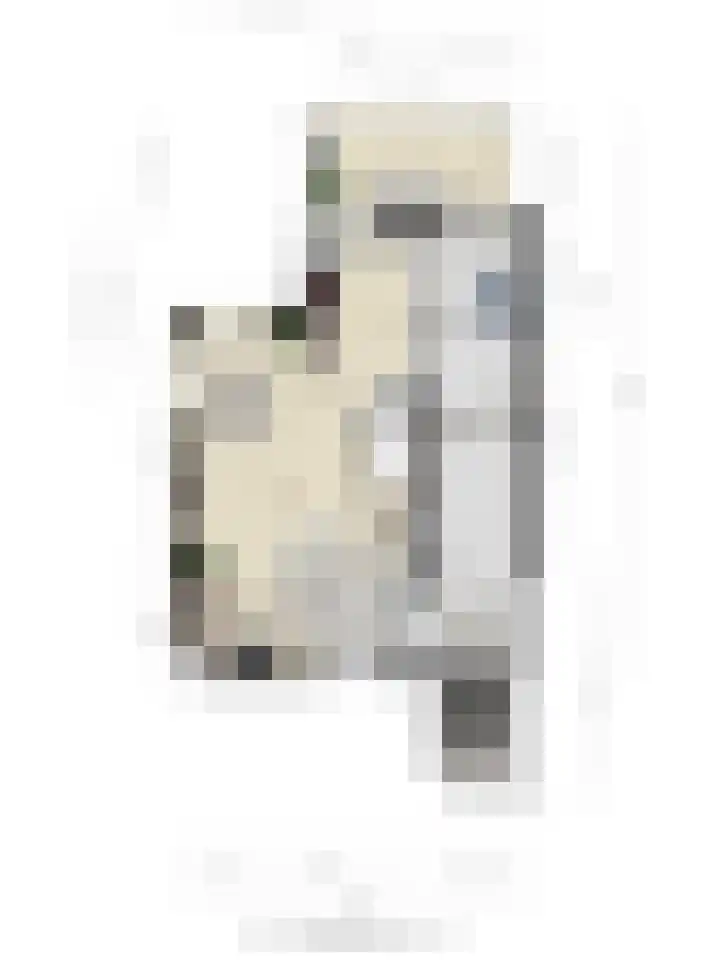 Pelmolen 6 Oploo thumbnail 38