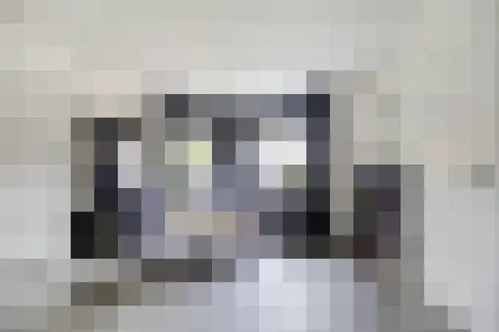 Pelmolen 6 Oploo thumbnail 5