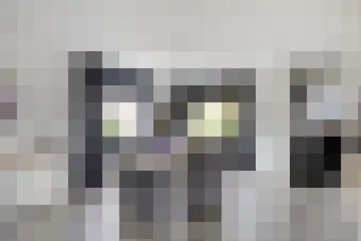 Pelmolen 6 Oploo thumbnail 6