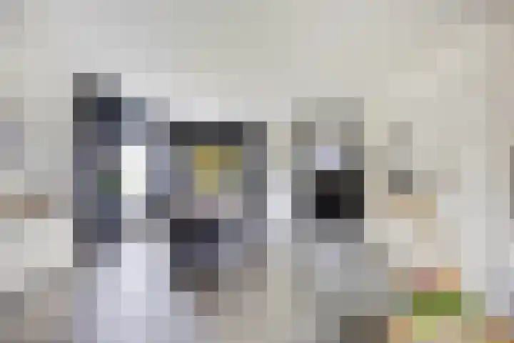 Pelmolen 6 Oploo thumbnail 7