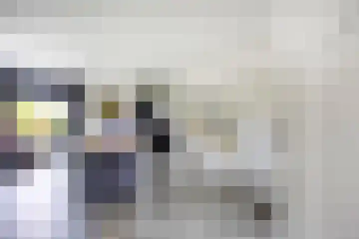 Pelmolen 6 Oploo thumbnail 8
