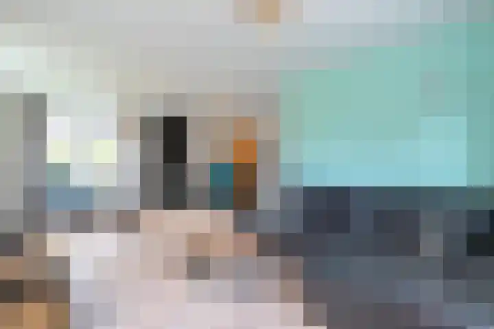 Pelmolen 7 Niezijl thumbnail 13