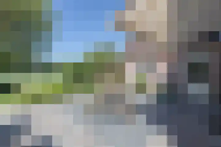 Pelmolen 7 Niezijl thumbnail 20