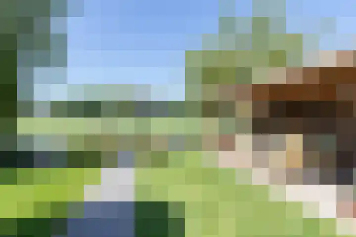 Pelmolen 7 Niezijl thumbnail 21