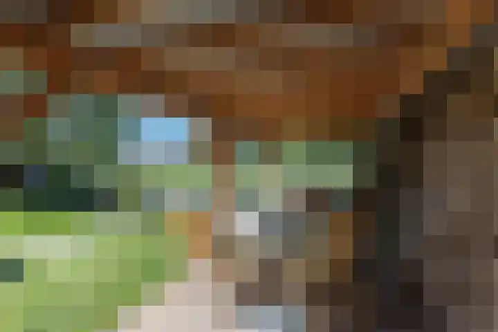 Pelmolen 7 Niezijl thumbnail 22