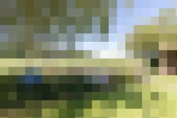 Pelmolen 7 Niezijl thumbnail 23