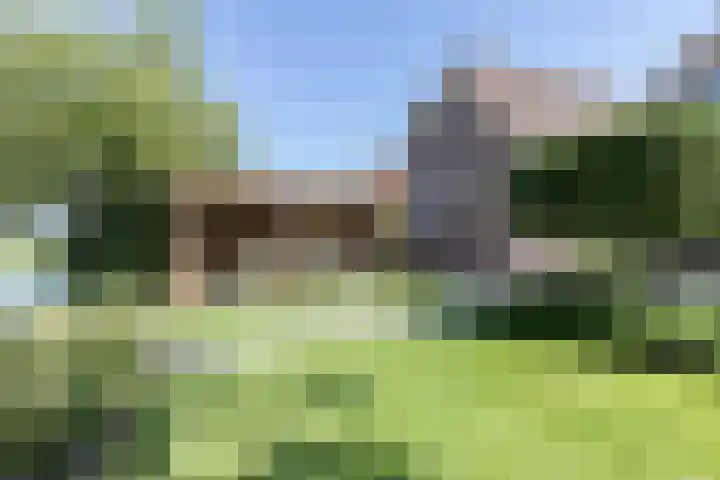 Pelmolen 7 Niezijl thumbnail 24