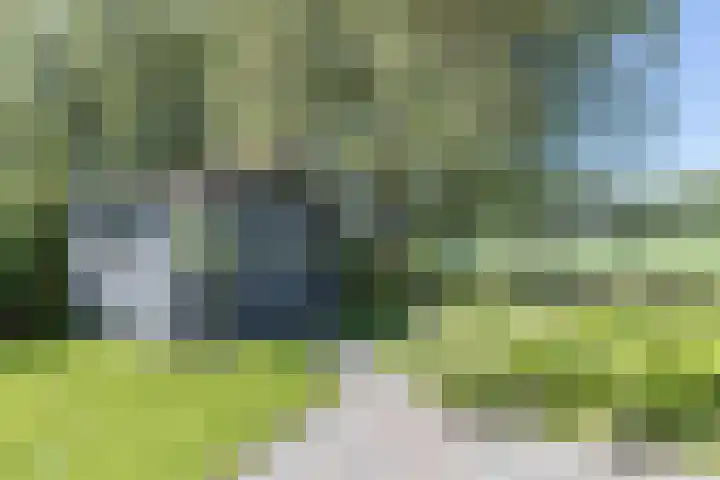 Pelmolen 7 Niezijl thumbnail 25