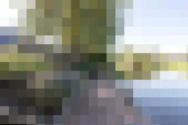 Pelmolen 7 Niezijl thumbnail 26