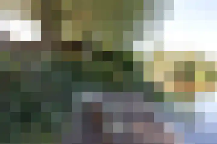 Pelmolen 7 Niezijl thumbnail 27