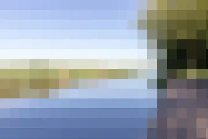 Pelmolen 7 Niezijl thumbnail 28