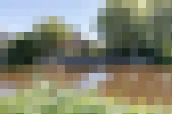 Pelmolen 7 Niezijl thumbnail 29
