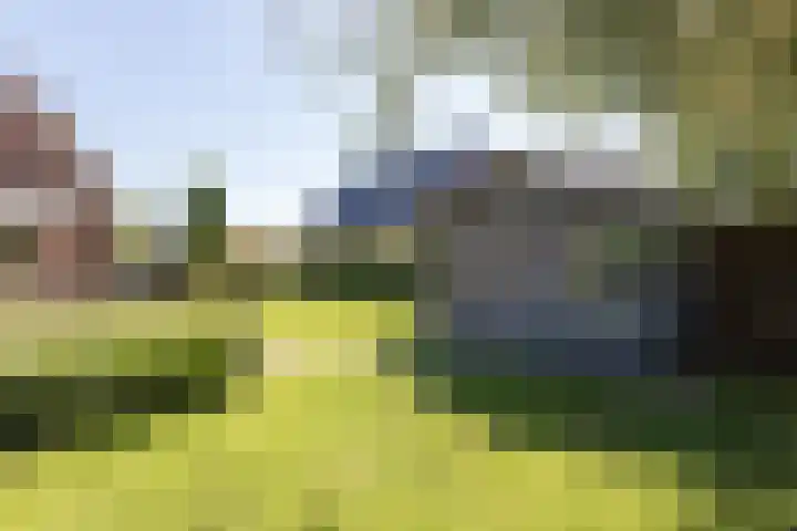 Pelmolen 7 Niezijl thumbnail 31