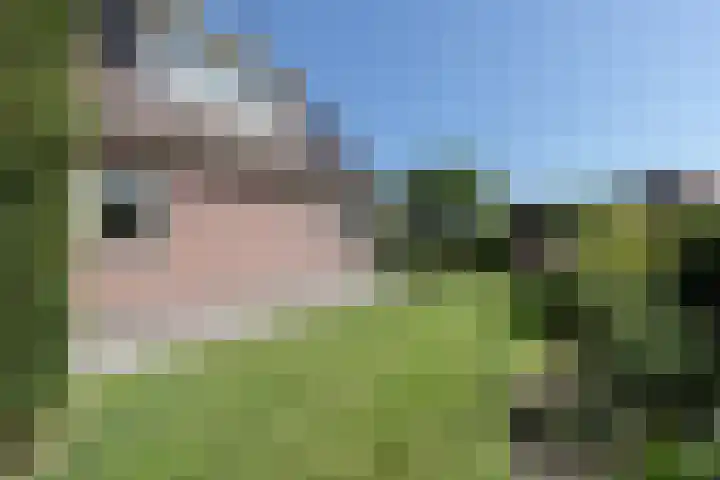 Pelmolen 7 Niezijl thumbnail 33