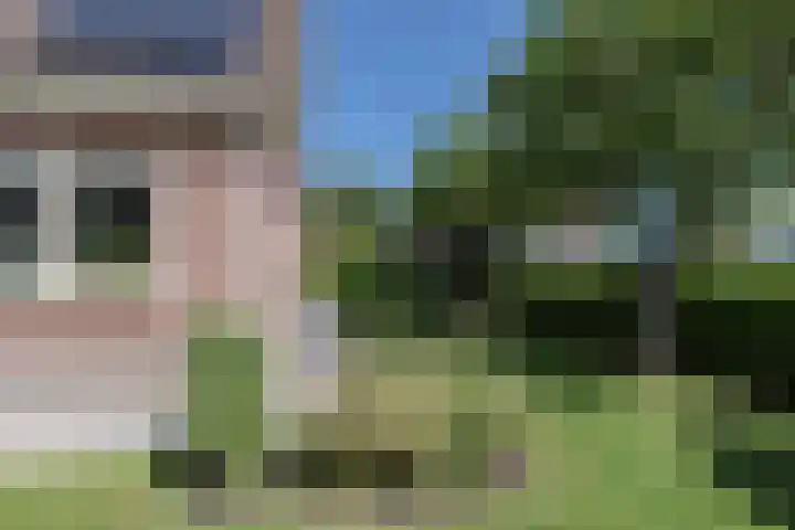 Pelmolen 7 Niezijl thumbnail 34