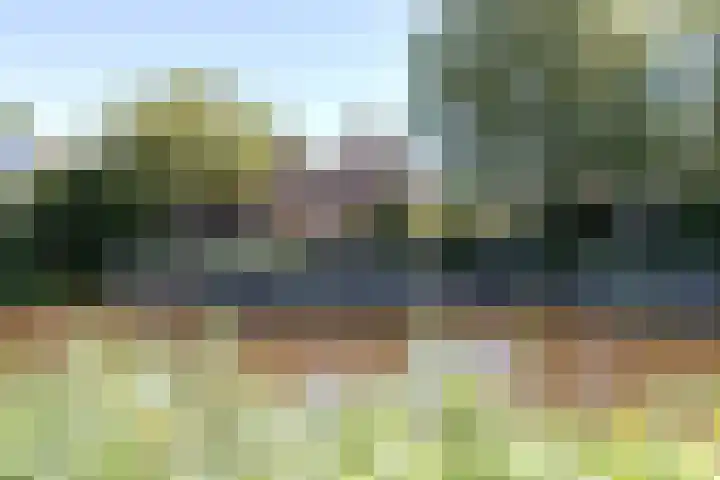Pelmolen 7 Niezijl thumbnail 4