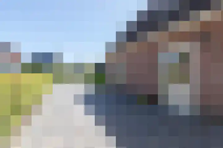 Pelmolen 7 Niezijl thumbnail 47