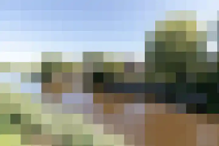 Pelmolen 7 Niezijl thumbnail 5