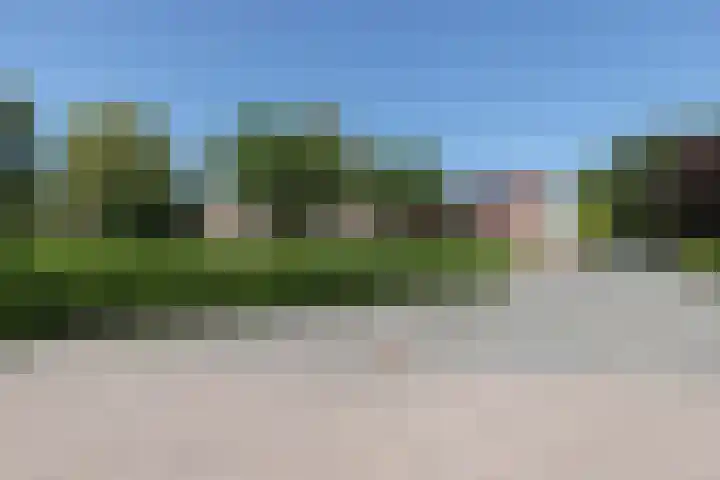 Pelmolen 7 Niezijl thumbnail 50